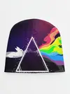 Детская шапка / PINK FLOYD
