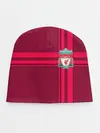 Детская шапка / Liverpool.