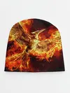 Детская шапка / Феникс в огне