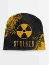 Детская шапка / S.T.A.L.K.E.R.