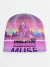 Детская шапка / Simulation Theory. Muse