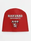 Детская шапка / HARVARD