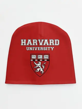 Детская шапка / HARVARD