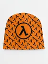 Детская шапка / HALF-LIFE
