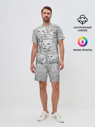 Мужской костюм с шортами / Коты мемы кошки