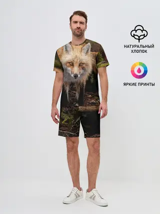 Мужской костюм с шортами / Лиса