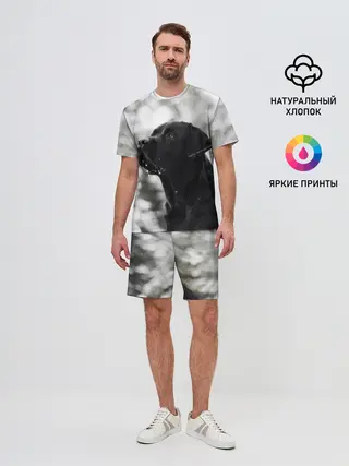 Мужской костюм с шортами / Лабрадор Марк