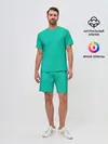 Мужской костюм с шортами / Бискайский зеленый без рисунка