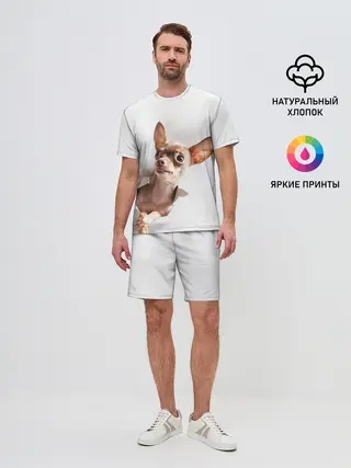 Мужской костюм с шортами / Чихуахуа из бумаги вылазит