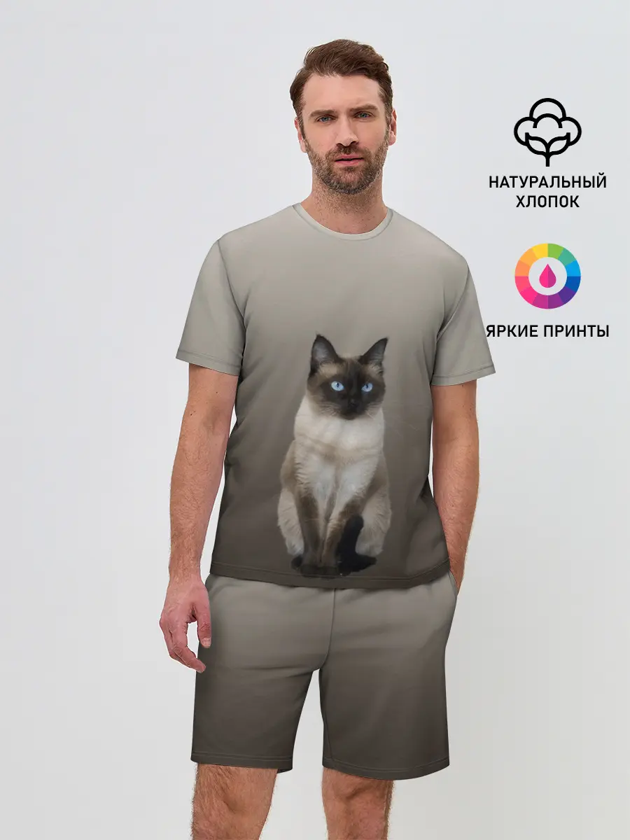 Мужской костюм с шортами / Сиамский кот голубые глаза