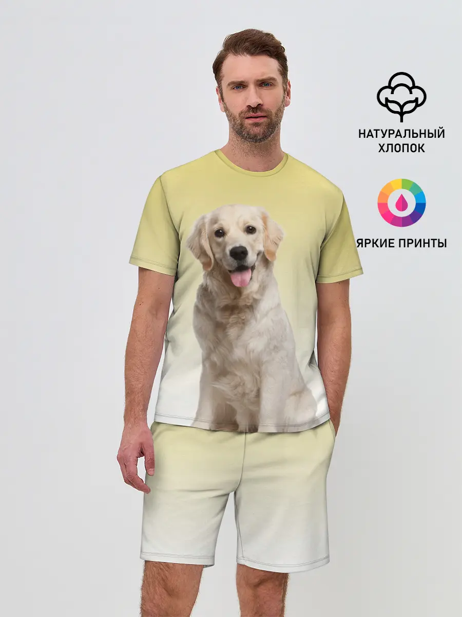 Мужской костюм с шортами / Лабрадор ретривер пес