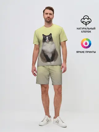 Мужской костюм с шортами / персидская пушистая кошка
