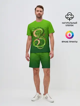 Мужской костюм с шортами / земляной анимешный дракон