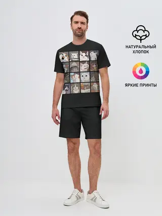 Мужской костюм с шортами / Коты и кошки