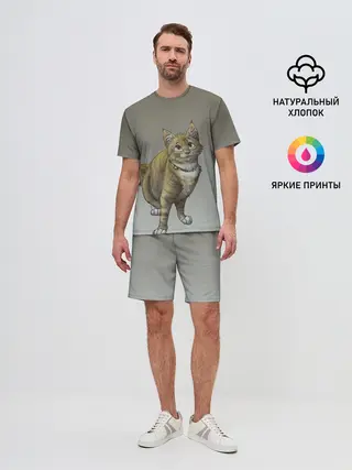 Мужской костюм с шортами / полосатый уличный кот