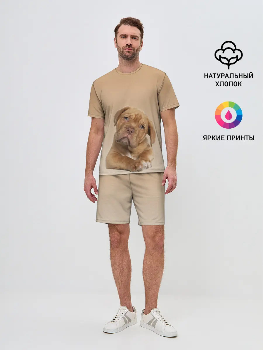 Мужской костюм с шортами / питбуль