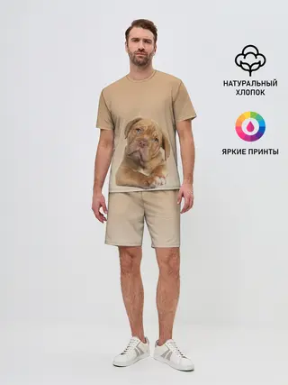 Мужской костюм с шортами / питбуль