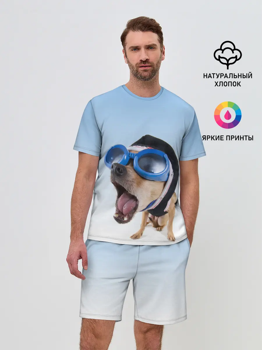 Мужской костюм с шортами / собака в очках