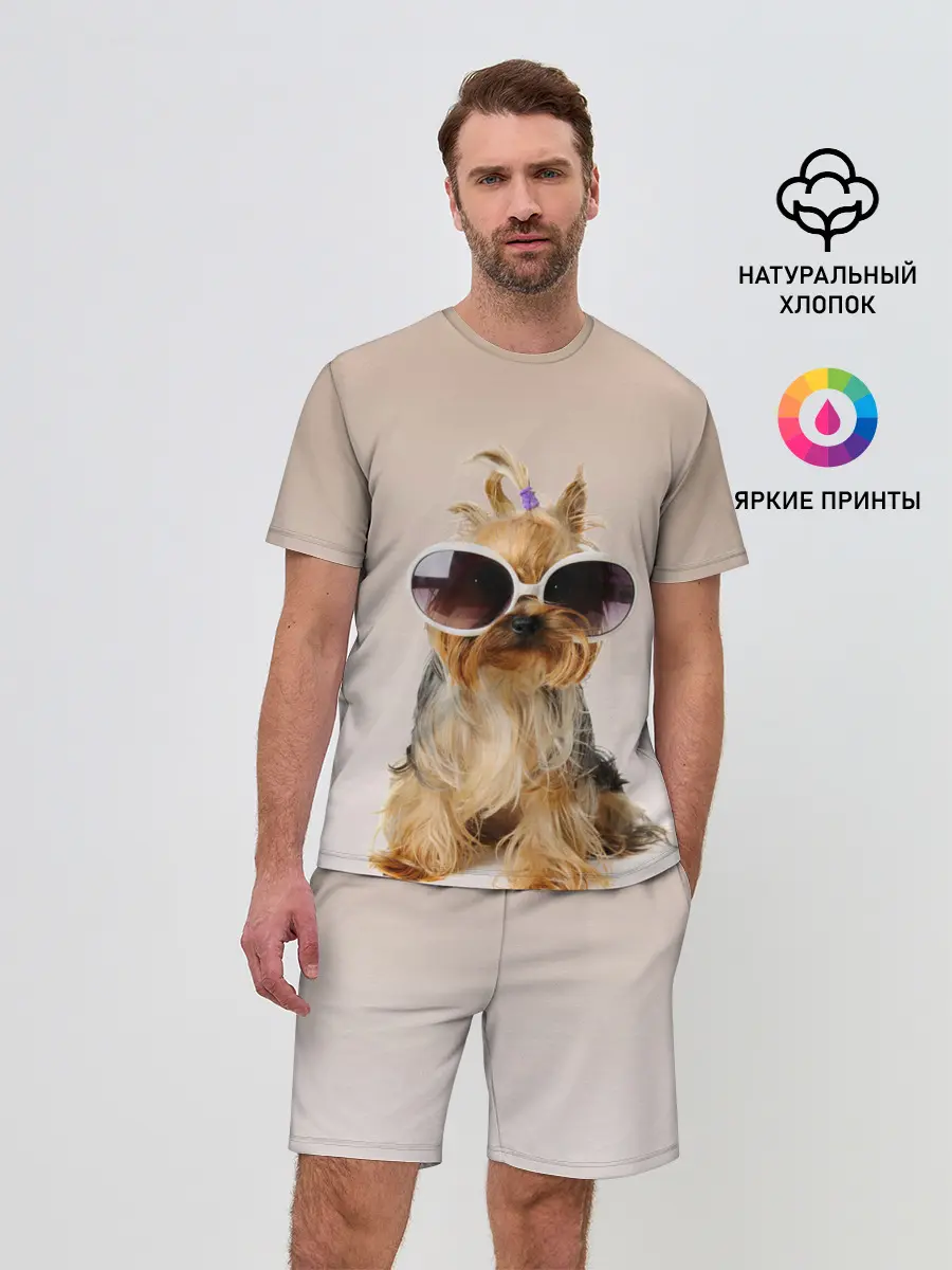 Мужской костюм с шортами / собака в очках