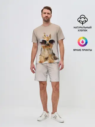 Мужской костюм с шортами / собака в очках