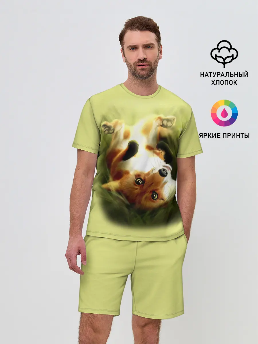 Мужской костюм с шортами / Лиса на траве