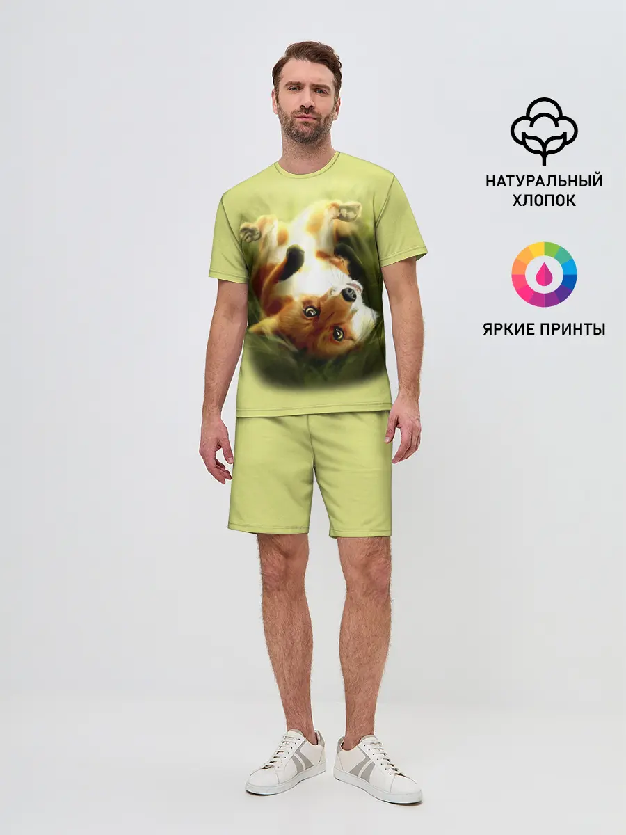 Мужской костюм с шортами / Лиса на траве