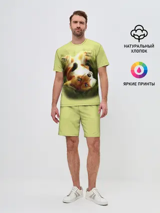 Мужской костюм с шортами / Лиса на траве