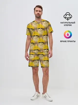 Мужской костюм с шортами / Котята