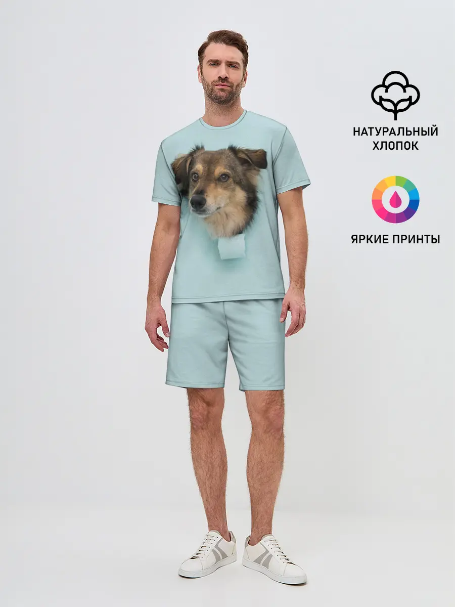 Мужской костюм с шортами / Беспородная Собака дворняга / A Dog