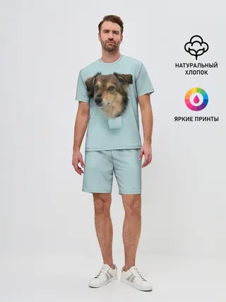 Мужской костюм с шортами / Беспородная Собака дворняга / A Dog