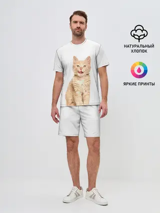 Мужской костюм с шортами / Кошечка