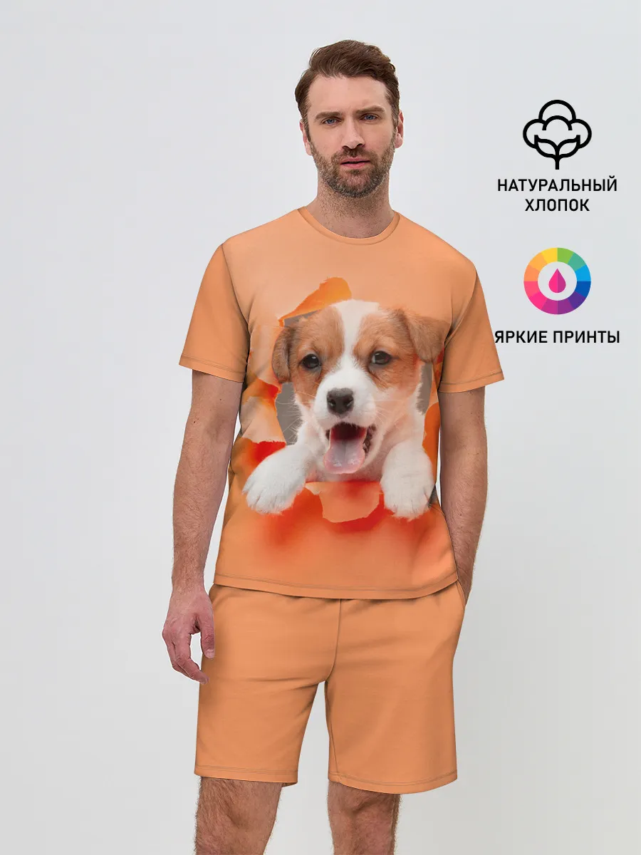 Мужской костюм с шортами / Собака