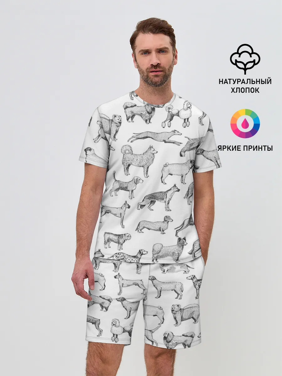 Мужской костюм с шортами / ПОРОДЫ СОБАК С ФОТОГРАФИЯМИ