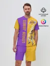 Мужской костюм с шортами / Леброн NBA
