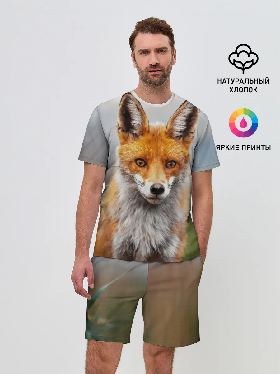 Мужской костюм с шортами / рыжая лисица