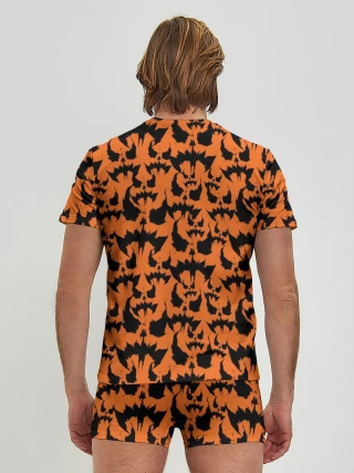 Мужские трусы с футболкой / Scarecrow pattern