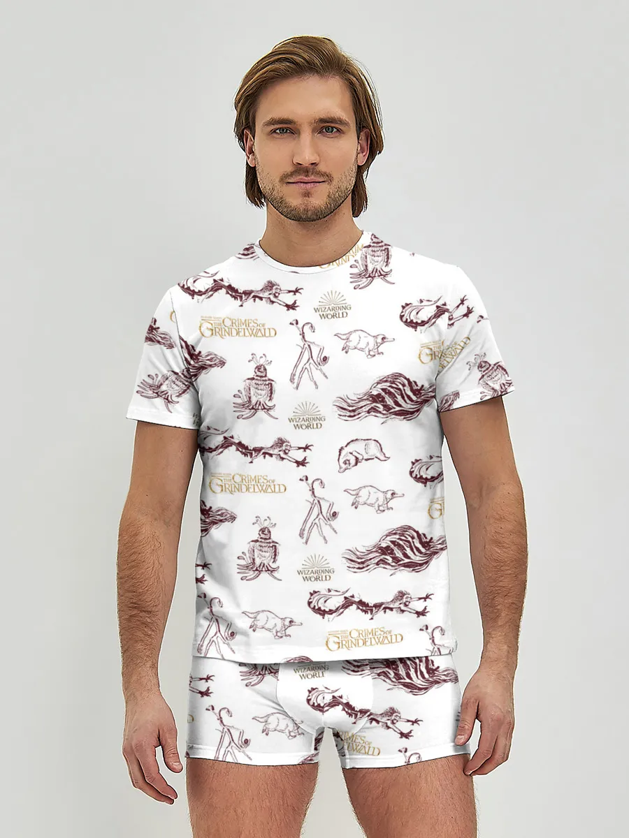 Мужские трусы с футболкой / Fantastic Beasts