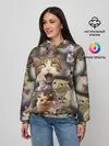 Женское худи / Те самые коты