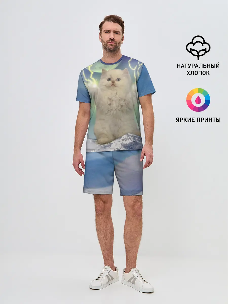 Мужской костюм с шортами / Грозовой Котик