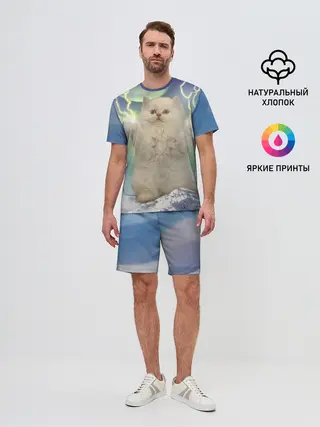 Мужской костюм с шортами / Грозовой Котик