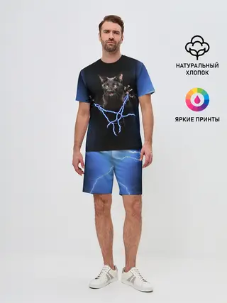 Мужской костюм с шортами / Грозовой кошак