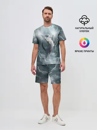 Мужской костюм с шортами / Грозовой кошак.