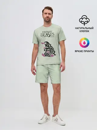 Мужской костюм с шортами / NIFFLER