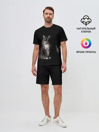 Мужской костюм с шортами / Котики