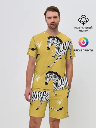 Мужской костюм с шортами / Зебра АРТ