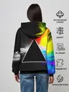 Женское худи / PINK FLOYD