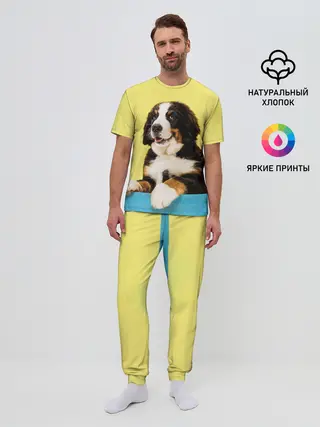 Мужская пижама с брюками / Бернский зенненхунд, Berner Sennenhund