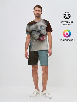 Мужской костюм с шортами / Сиамский котенок