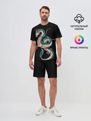 Мужской костюм с шортами / Дракон Хаку на черном фоне