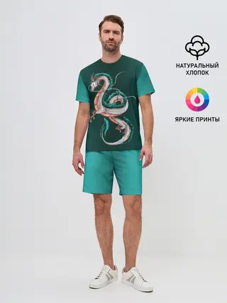 Мужской костюм с шортами / Дракон Хаку зеленый градиент